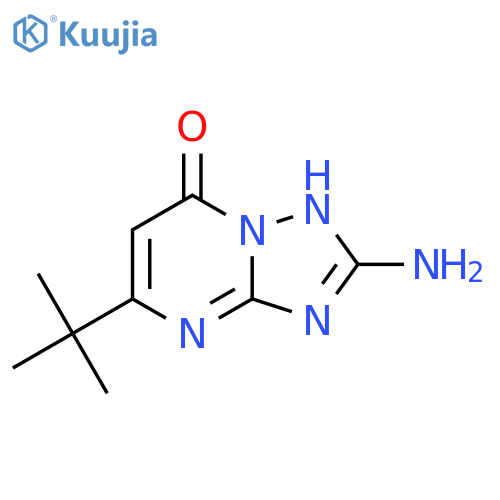 2-amino-5-tert-butyl-4H,7H-[1,2,4]triazolo[1,5-a]pyrimidin-7-one structure
