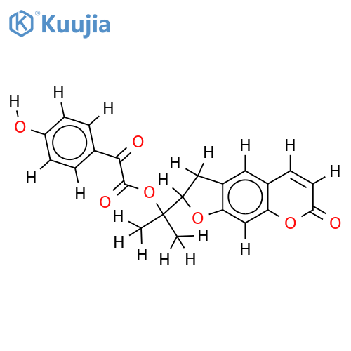 Tschuin structure