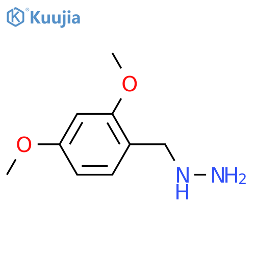 1-(2,4-dimethoxybenzyl)hydrazine structure
