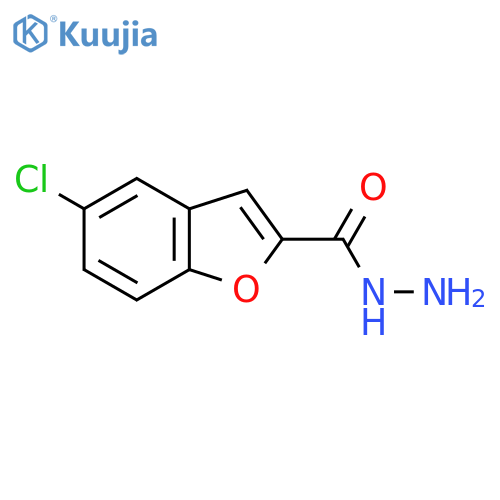 5-Chlorobenzofuran-2-carbohydrazide structure