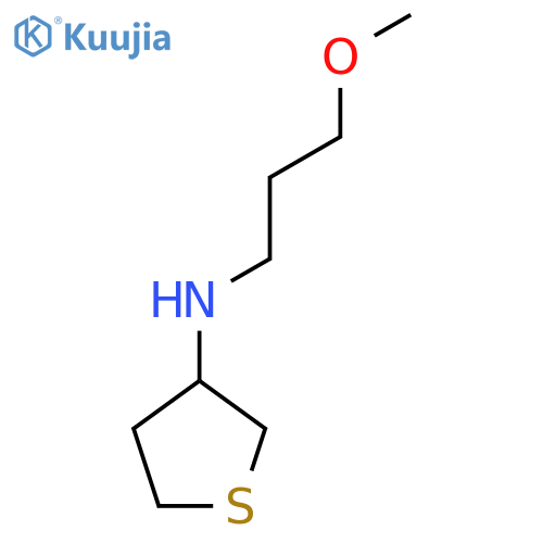 N-(3-methoxypropyl)thiolan-3-amine structure
