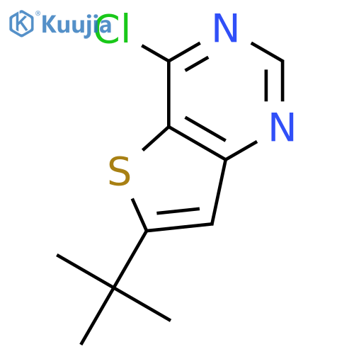 6-Tert-Butyl-4-chlorothieno[3,2-d]pyrimidine structure