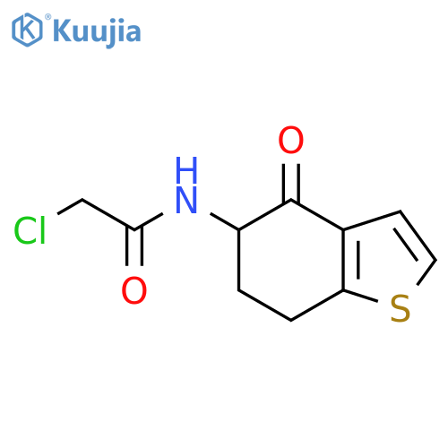 2-chloro-N-(4-oxo-4,5,6,7-tetrahydro-1-benzothiophen-5-yl)acetamide structure