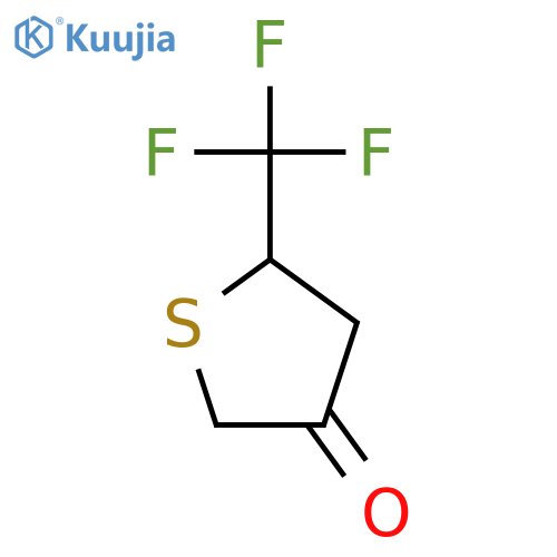 5-(trifluoromethyl)thiolan-3-one structure