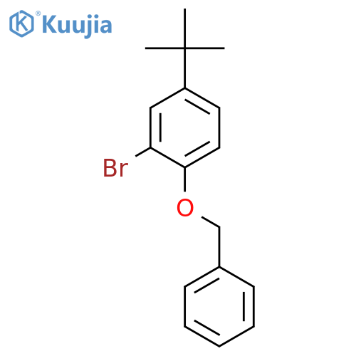 1-Benzyloxy-2-bromo-4-t-butylbenzene structure