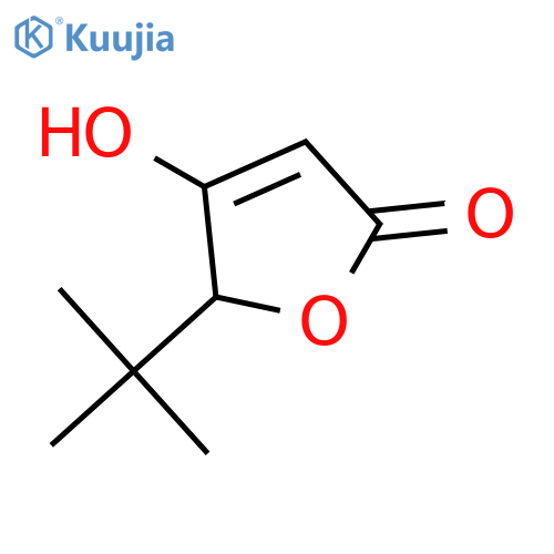 2(5H)-Furanone, 5-(1,1-dimethylethyl)-4-hydroxy- structure