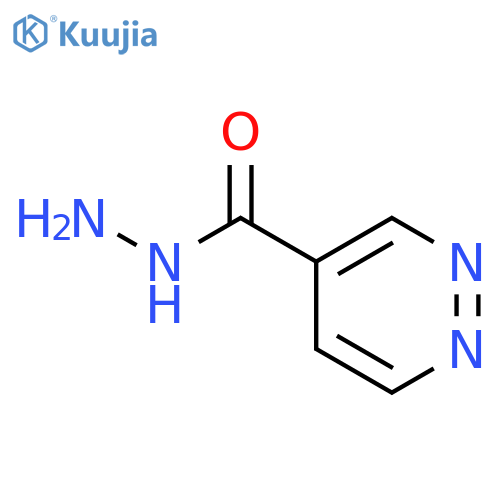 pyridazine-4-carbohydrazide structure