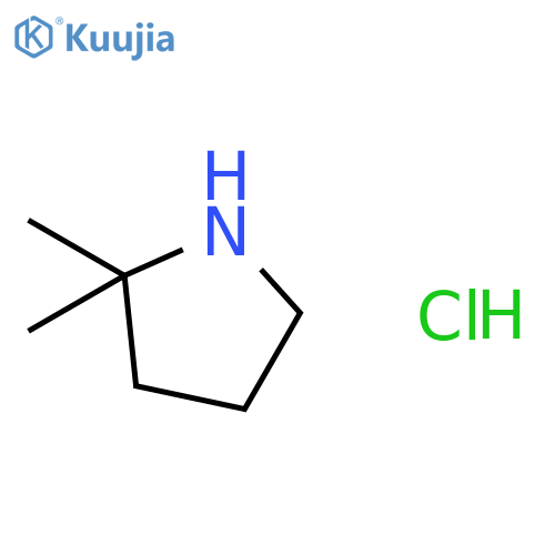 2,2-Dimethylpyrrolidine hydrochloride structure