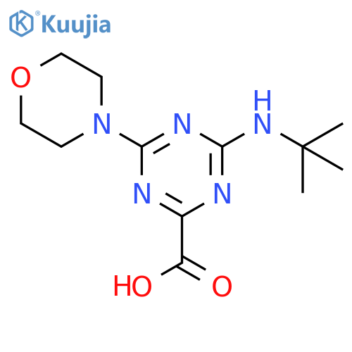 4-tert-Butylamino-6-morpholin-4-yl-[1,3,5]triazine-2-carboxylic acid structure