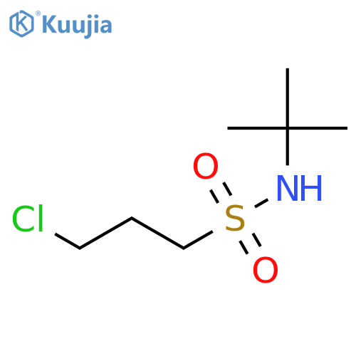 N-tert-Butyl-3-chloropropane-1-sulfonamide structure