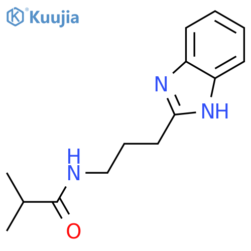 N-3-(1H-1,3-benzodiazol-2-yl)propyl-2-methylpropanamide structure