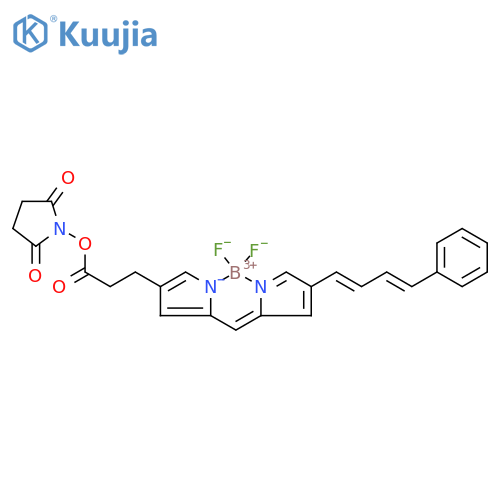 BDP 581/591 NHS ester structure