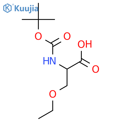 D-Serine, N-[(1,1-dimethylethoxy)carbonyl]-O-ethyl- structure