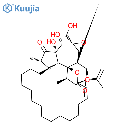 Synaptolepis factor K1 structure