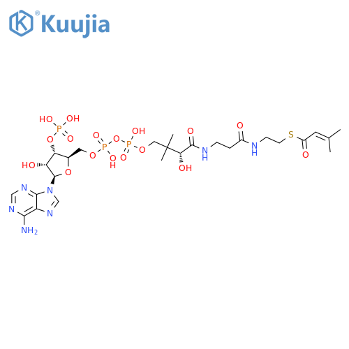 Coenzyme A, S-(3-methyl-2-butenoate) structure