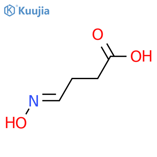 4-Oxobutanoic acid; Oxime structure