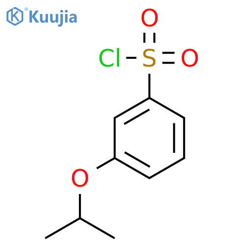 3-Isopropoxy-benzenesulfonyl Chloride structure