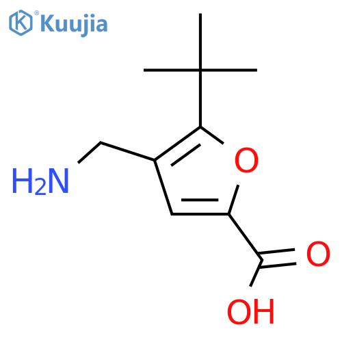 4-(aminomethyl)-5-tert-butylfuran-2-carboxylic acid structure