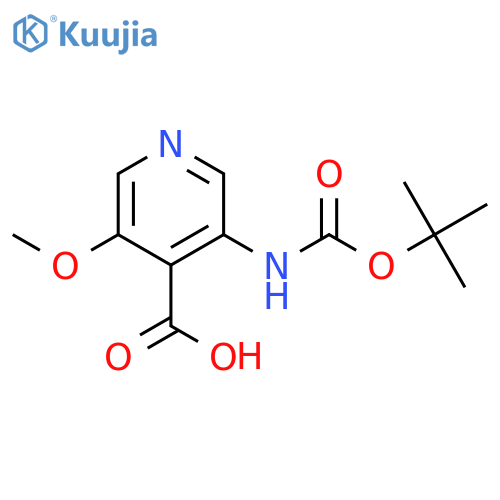3-(tert-Butoxycarbonylamino)-5-methoxyisonicotinic acid structure