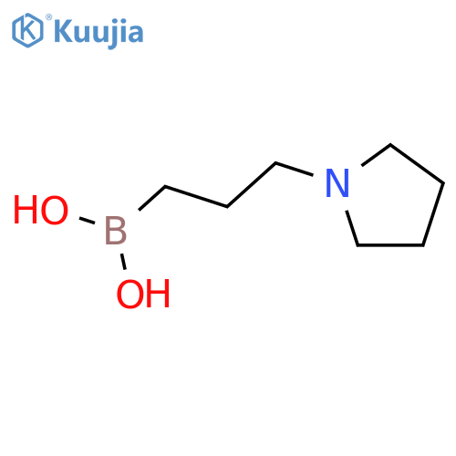 Boronic acid,[3-(1-pyrrolidinyl)propyl]- (9CI) structure