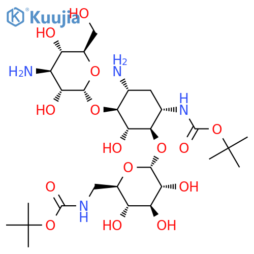 Boc-protected Kanamycin A d8-Major structure