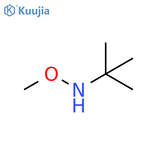 N-Methoxy-2-methyl-2-propanamine structure
