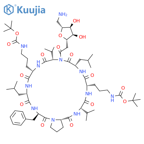 Cyclo[7-amino-3,6-anhydro-2,7-dideoxy-D-allo-heptonoyl-L-valyl-N5-[(1,1-dimethylethoxy)carbonyl]-L-ornithyl-L-leucyl-D-phenylalanyl-L-prolyl-L-valyl-N5-[(1,1-dimethylethoxy)carbonyl]-L-ornithyl-L-leucyl] structure
