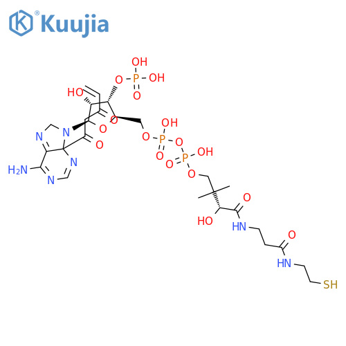 3-keto-4-pentenoyl-coenzyme A structure
