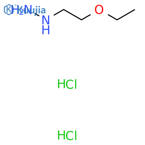 (2-ethoxyethyl)hydrazine xHCl salt structure