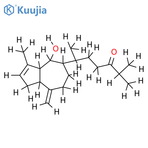 Dictyone structure