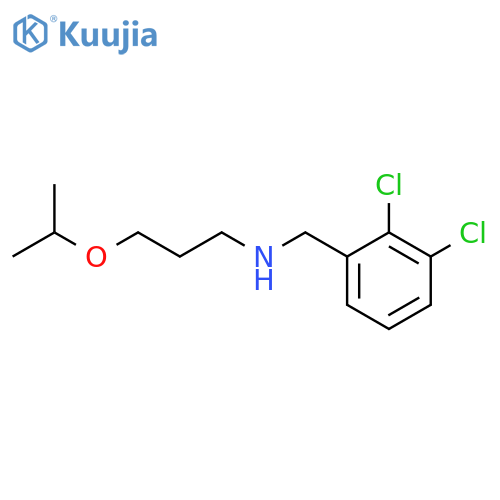 (2,3-Dichloro-benzyl)-(3-isopropoxy-propyl)-amine structure