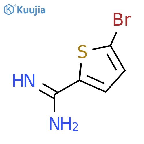 2-THIOPHENECARBOXIMIDAMIDE, 5-BROMO- structure
