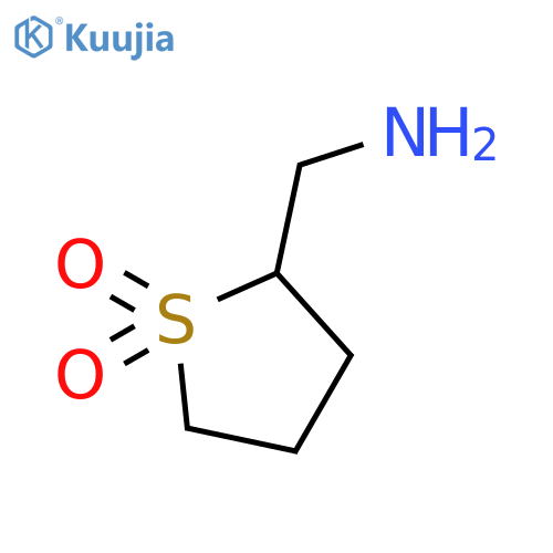 2-(aminomethyl)-1λ?-thiolane-1,1-dione structure