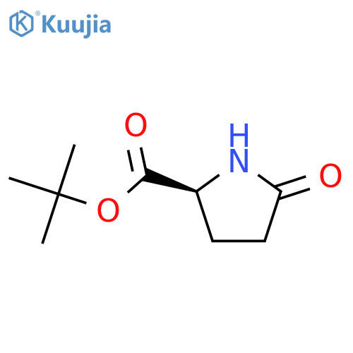 tert-butyl 5-oxopyrrolidine-2-carboxylate structure