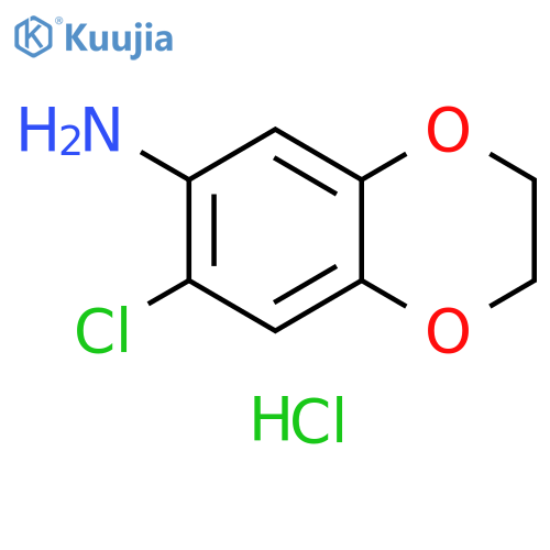 7-chloro-2,3-dihydro-1,4-benzodioxin-6-amine Hydrochloride structure