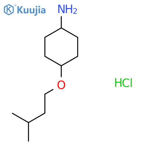 (1R,4r)-4-(3-methylbutoxy)cyclohexan-1-amine hydrochloride structure