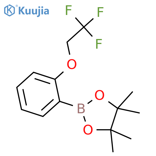 1,3,2-Dioxaborolane,4,4,5,5-tetramethyl-2-[2-(2,2,2-trifluoroethoxy)phenyl]- structure