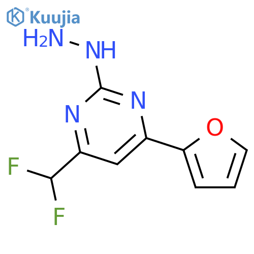 4-(Difluoromethyl)-6-(2-furyl)-2-hydrazinopyrimidine structure