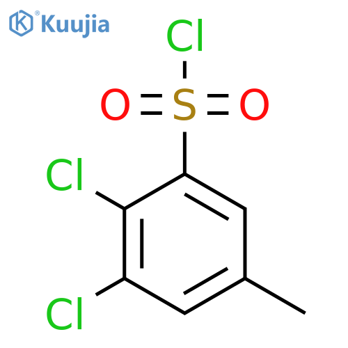 2,3-Dichloro-5-methylbenzenesulfonyl chloride structure