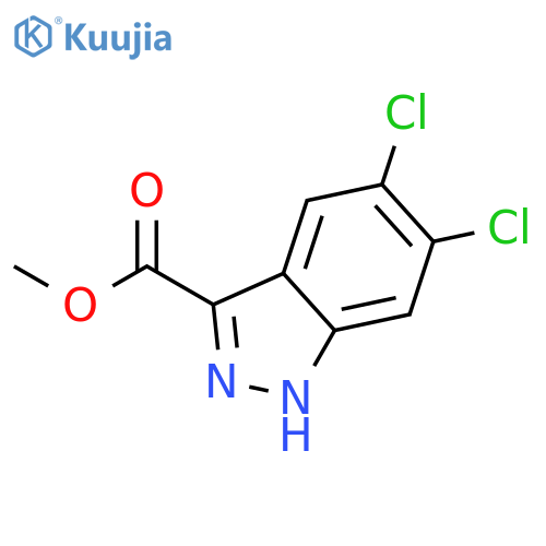 Methyl 5,6-dichloro-1H-indazole-3-carboxylate structure