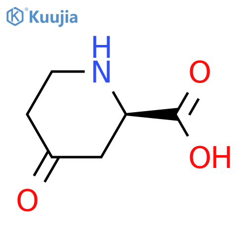 (2R)-4-oxopiperidine-2-carboxylic acid structure