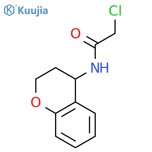 2-chloro-N-(3,4-dihydro-2H-1-benzopyran-4-yl)acetamide structure