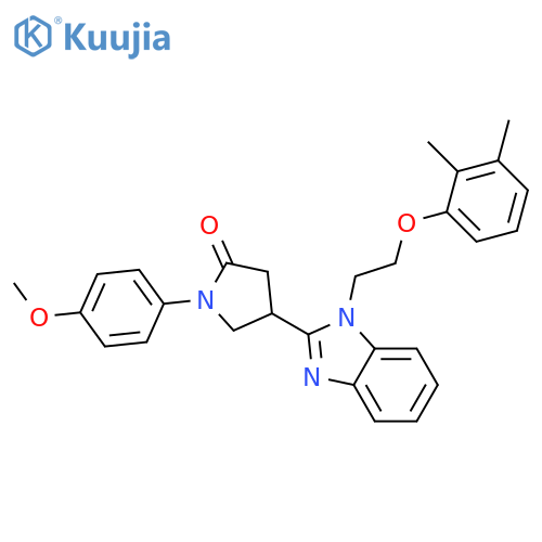 4-{1-2-(2,3-dimethylphenoxy)ethyl-1H-1,3-benzodiazol-2-yl}-1-(4-methoxyphenyl)pyrrolidin-2-one structure