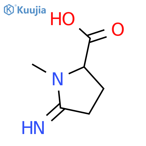 (-)-(5S)-2-imino-1-methylpyrrolidine-5-carboxylic acid structure