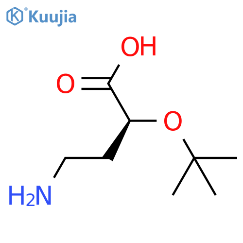 (2S)-4-amino-2-(tert-butoxy)butanoic acid structure