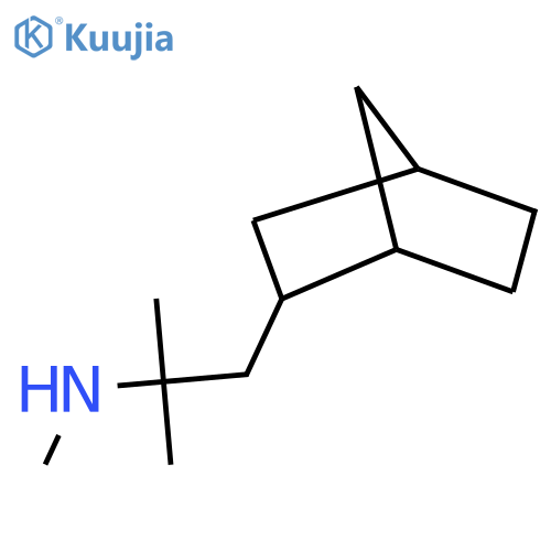 (1-{bicyclo2.2.1heptan-2-yl}-2-methylpropan-2-yl)(methyl)amine structure