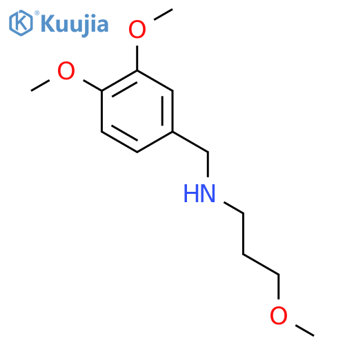 N-(3,4-dimethoxybenzyl)-3-methoxypropan-1-amine structure