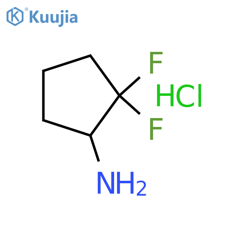 2,2-Difluorocyclopentan-1-amine hydrochloride structure