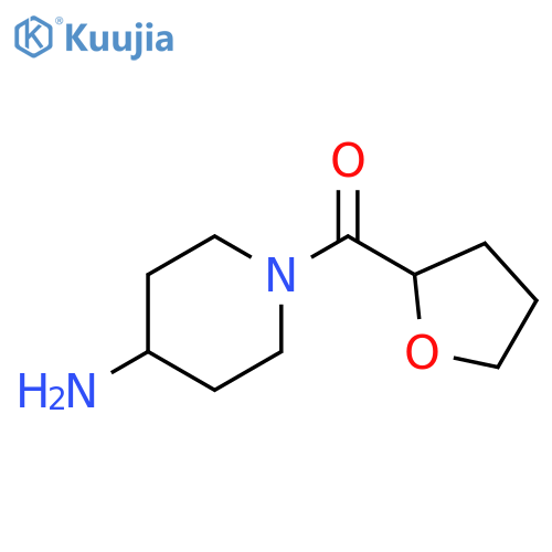 1-(oxolane-2-carbonyl)piperidin-4-amine structure