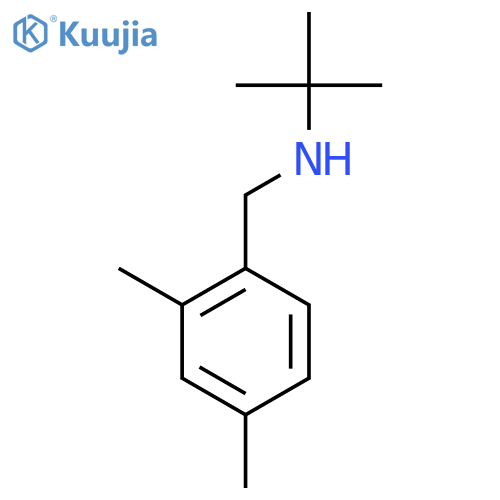 tert-butyl(2,4-dimethylphenyl)methylamine structure